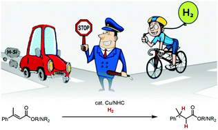 Graphical abstract: Catalytic hydrogenation of α,β-unsaturated carboxylic acid derivatives using copper(i)/N-heterocyclic carbene complexes