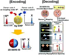 Graphical abstract: Two-dimensional SERS encoding method for on-bead peptide sequencing in high-throughput bioanalysis
