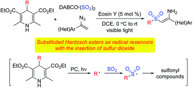 Graphical abstract: Substituted Hantzsch esters as radical reservoirs with the insertion of sulfur dioxide under photoredox catalysis