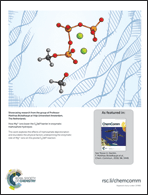 Graphical abstract: Back cover