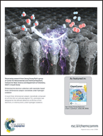 Graphical abstract: Inside back cover