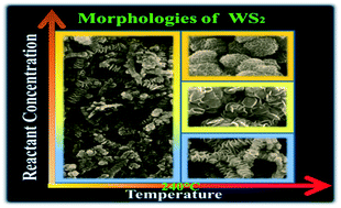 Graphical abstract: Controlled preparation of high quality WS2 nanostructures by a microwave-assisted solvothermal method