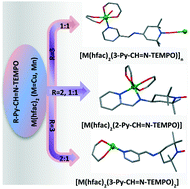 Graphical abstract: Synthesis, crystal structures and magnetic properties of six coordination compounds constructed with pyridine iminomethyl–TEMPO radicals and [M(hfac)2] (M = CuII and MnII)