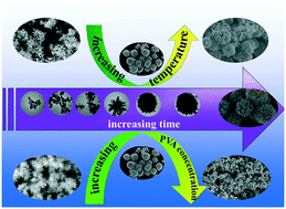 Graphical abstract: Structural study on PVA assisted self-assembled 3D hierarchical iron (hydr)oxides