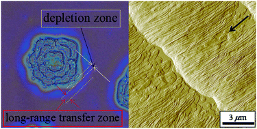 Graphical abstract: Nonbirefringent bands in thin films of a copolymer melt: rapid rhythmic crystal growth with an unusual crystal–melt interface