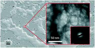 Graphical abstract: Ultra-fast precipitation of transient amorphous cerium oxalate in concentrated nitric acid media