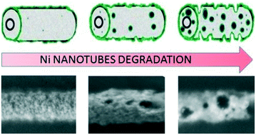 Graphical abstract: The behavior of Ni nanotubes under the influence of environments with different acidities