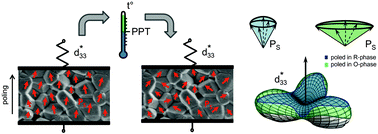 Graphical abstract: On the piezoelectric efficiency of rotator and extender ferroelectrics in random polycrystalline aggregates with various engineered domain states