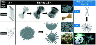 Graphical abstract: Shape-controlled synthesis of nanostructured Co-doped ZnO thin films and their magnetic properties