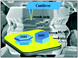 Graphical abstract: Single and twinned plates of 2D layered BiI3 for use as nanoscale pressure sensors