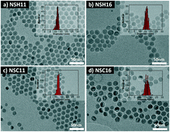 Graphical abstract: Effect of reaction environment and in situ formation of the precursor on the composition and shape of iron oxide nanoparticles synthesized by the thermal decomposition method