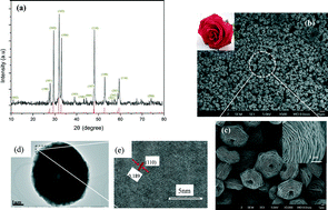 Graphical abstract: Rose-like CuS microflowers and their enhanced visible-light photocatalytic performance
