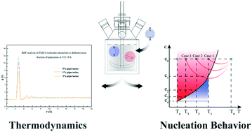 Graphical abstract: Insight into the role of piperazine in the thermodynamics and nucleation kinetics of the triethylenediamine–methyl tertiary butyl ether system