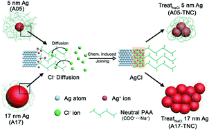 Graphical abstract: Size and surface effects on chemically-induced joining of Ag conductive inks