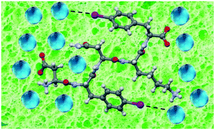 Graphical abstract: Halogen bonding at the wet interfaces of an amyloid peptide structure
