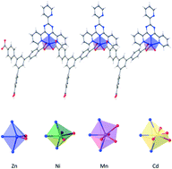 Graphical abstract: Passing it up the ranks: hierarchical ion-size dependent supramolecular response in 1D coordination polymers