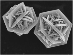 Graphical abstract: Unique CoS hierarchitectures for high-performance lithium ion batteries