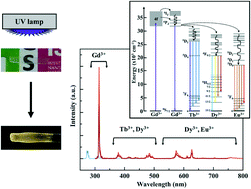 Graphical abstract: (Lu0.3Gd0.7)2SiO5:Y3+ single crystals grown by the laser floating zone method: structural and optical studies