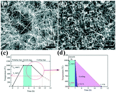 Graphical abstract: The controllable growth of superhydrophobic SiC nanowires by tailoring the cooling rate