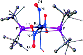 Graphical abstract: Wavelength-selective photoisomerisation of nitric oxide and nitrite in a rhodium complex