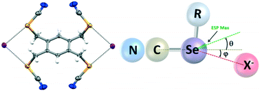 Graphical abstract: Halide ion recognition via chalcogen bonding in the solid state and in solution. Directionality and linearity