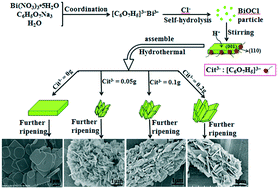 Graphical abstract: One dimensional hierarchical BiOCl microrods: their synthesis and their photocatalytic performance