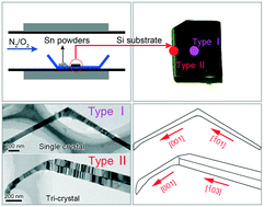 Graphical abstract: Controllable synthesis of single-crystal SnO2 nanowires and tri-crystal SnO2 nanobelts