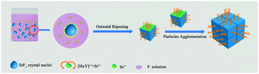 Graphical abstract: EDTA-assisted hydrothermal synthesis of cubic SrF2 particles and their catalytic performance for the pyrolysis of 1-chloro-1,1-difluoroethane to vinylidene fluoride