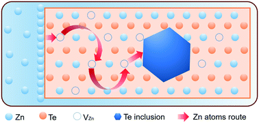 Graphical abstract: Homogenization of Te-rich grown ZnTe bulk crystals by annealing under Zn vapor