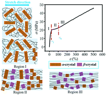 Graphical abstract: Structural evolution and phase transition of uniaxially stretched poly(butylene adipate-co-butylene terephthalate) films as revealed by in situ synchrotron radiation small and wide angle X-ray scattering