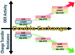 Graphical abstract: Charge transfer-induced O p-band center shift for an enhanced OER performance in LaCoO3 film