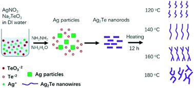 Graphical abstract: Facile synthesis of Ag2Te nanowires and thermoelectric properties of Ag2Te polycrystals sintered by spark plasma sintering