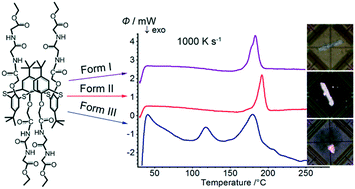 Graphical abstract: Using fast scanning calorimetry to detect guest-induced polymorphism by irreversible phase transitions in the nanogram scale