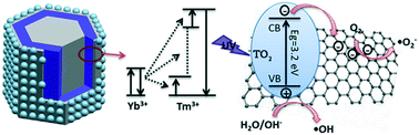 Graphical abstract: Synthesis and photocatalytic activity of δ-doped hexagonal NaYF4:Yb,Tm@TiO2/RGO nanocrystals