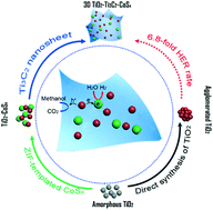 Graphical abstract: Conductive Ti3C2 and MOF-derived CoSx boosting the photocatalytic hydrogen production activity of TiO2