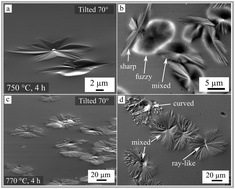 Graphical abstract: Morphology, topography, and crystal rotation during surface crystallization of BaO/SrO/ZnO/SiO2 glass