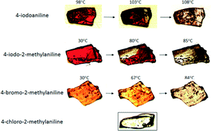 Graphical abstract: Living in the salt-cocrystal continuum: indecisive organic complexes with thermochromic behaviour