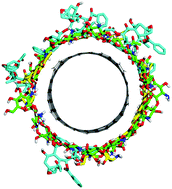 Graphical abstract: Understanding the co-loading and releasing of doxorubicin and paclitaxel using chitosan functionalized single-walled carbon nanotubes by molecular dynamics simulations