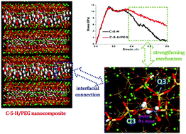 Graphical abstract: Insights into the interfacial strengthening mechanisms of calcium-silicate-hydrate/polymer nanocomposites