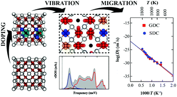 Graphical abstract: Anisotropic vacancy-mediated phonon mode softening in Sm and Gd doped ceria