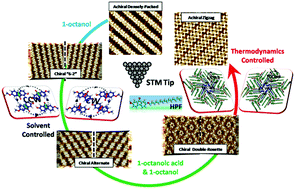 Graphical abstract: Chiral polymorphism in the self-assemblies of achiral molecules induced by multiple hydrogen bonds