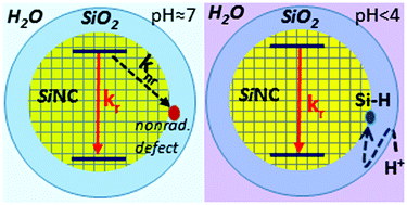 Graphical abstract: Enhancing the luminescence efficiency of silicon-nanocrystals by interaction with H+ ions