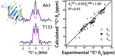 Graphical abstract: Determination of accurate backbone chemical shift tensors in microcrystalline proteins by integrating MAS NMR and QM/MM