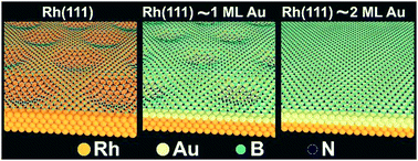 Graphical abstract: Tailoring the hexagonal boron nitride nanomesh on Rh(111) with gold