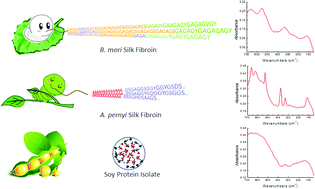 Graphical abstract: Application of far-infrared spectroscopy to the structural identification of protein materials