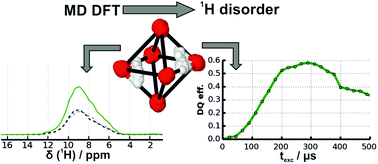 Graphical abstract: Quantitative description of 1H SQ and DQ coherences for the hydroxyl disorder within hydrous ringwoodite