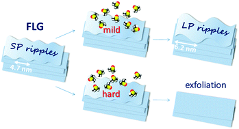 Graphical abstract: Rippling of graphitic surfaces: a comparison between few-layer graphene and HOPG