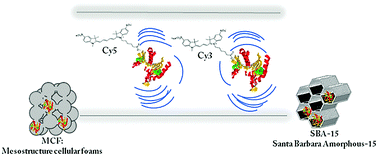 Graphical abstract: Measuring viscosity inside mesoporous silica using protein-bound molecular rotor probe