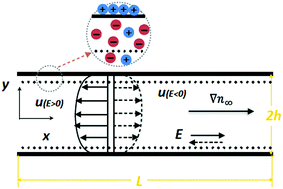 Graphical abstract: Theory of diffusioosmosis in a charged nanochannel