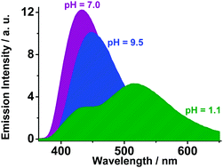 Graphical abstract: Structural and photodynamic properties of the anti-cancer drug irinotecan in aqueous solutions of different pHs